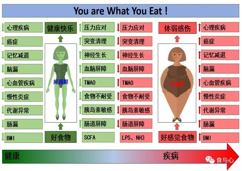 均衡饮食,均衡饮食食谱推荐