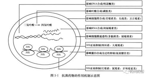 夫妻关系生活指南方法与注意事项(图文)<