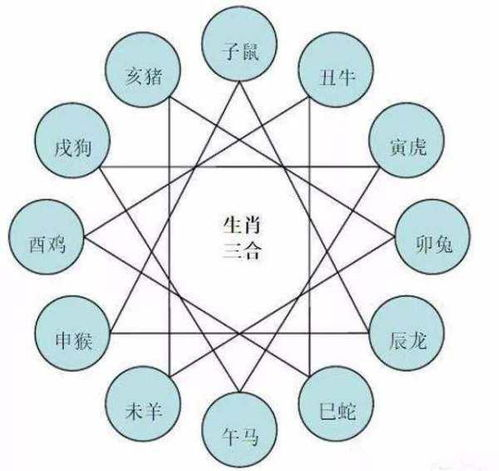 <br>一、属猴与属相相冲的基本概念