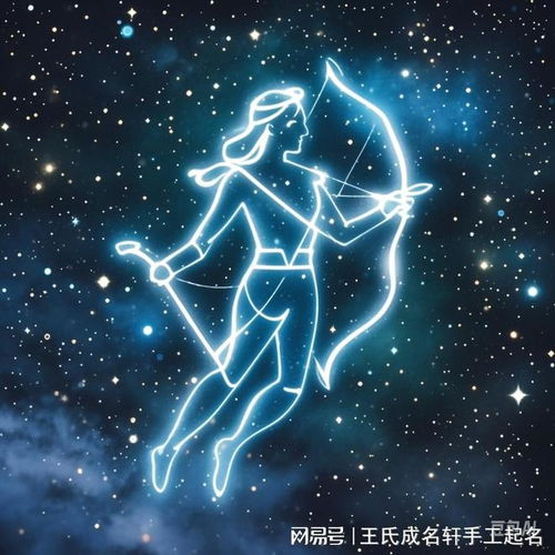 11月星座概述