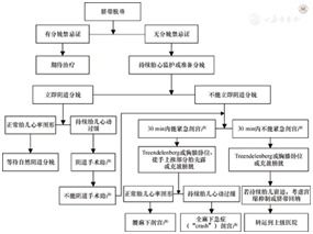 妇科急救,妇产科急危重症抢救流程<