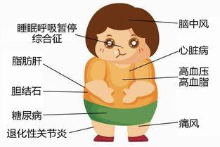 预防肥胖手抄报,预防肥胖手抄报资料