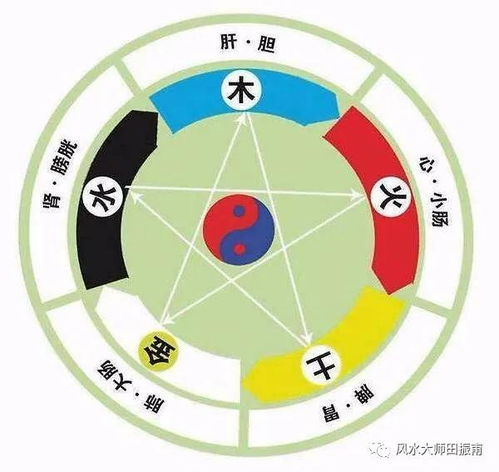 <br>一、五行八字的起源与基本概念