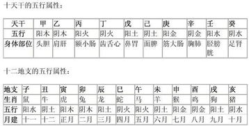 <br>一、天干地支简介