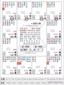 <br>一、紫微斗数基础解析