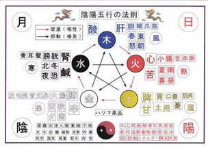 <br>一、五行学说的基本概念