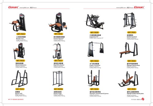 国产健身器械,健身器材大全图